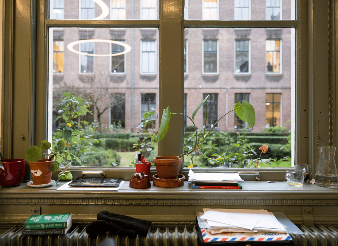 vensterbank met planten en boeken en raam met uitzicht op binnentuin